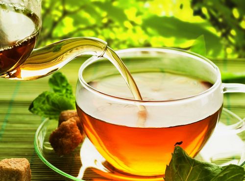 Green Tea Calories - Lose Weight 