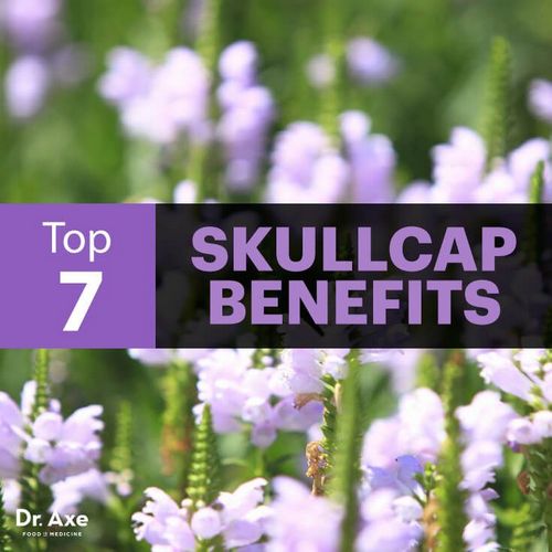 How the Chinese Use Skullcap Tea 