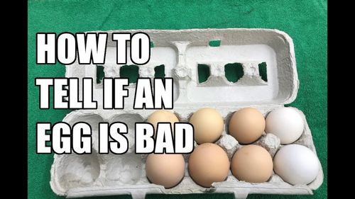 How to Tell if Eggs Are Bad