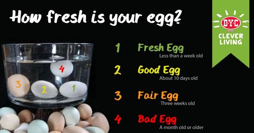 How To Tell If Eggs Are Bad 