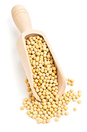 Is Soybean Oil Bad For You? 