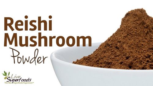 Making Reishi Mushroom Extract is Easy 