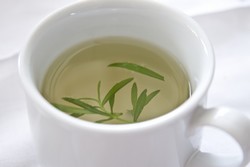 Rosemary Tea - An Elegant Remedy 