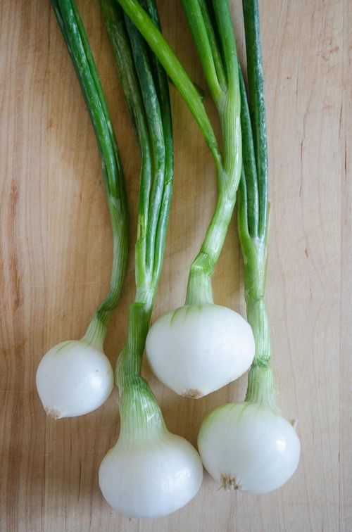 The Differences Between Scallions Vs Green Onions 