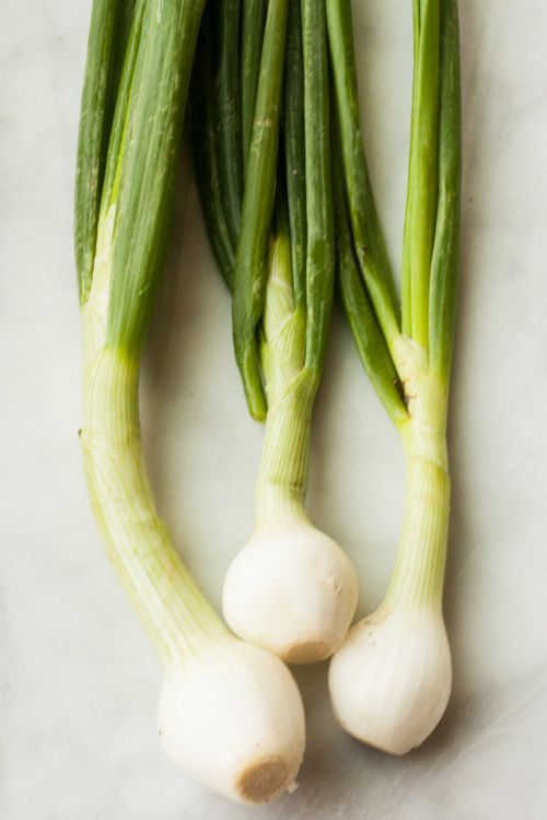 The Differences Between Scallions Vs Green Onions 